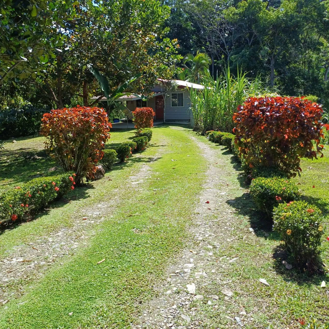 Landscaped garden pathway at North Stay