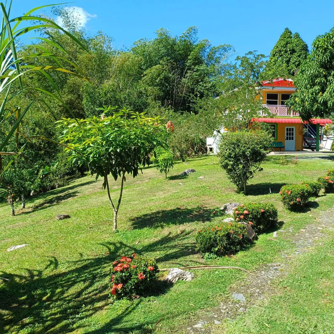 Tropical garden